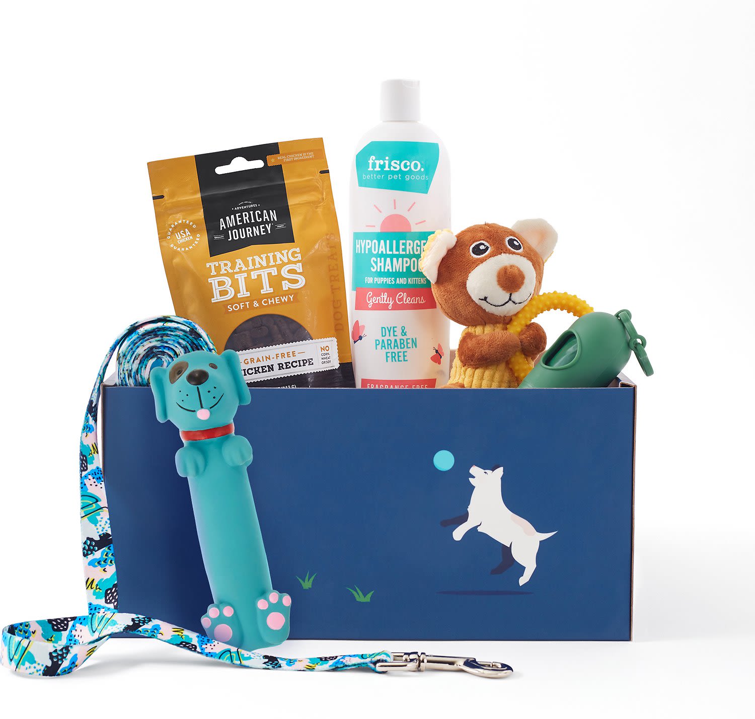 Chewy dog gift store box