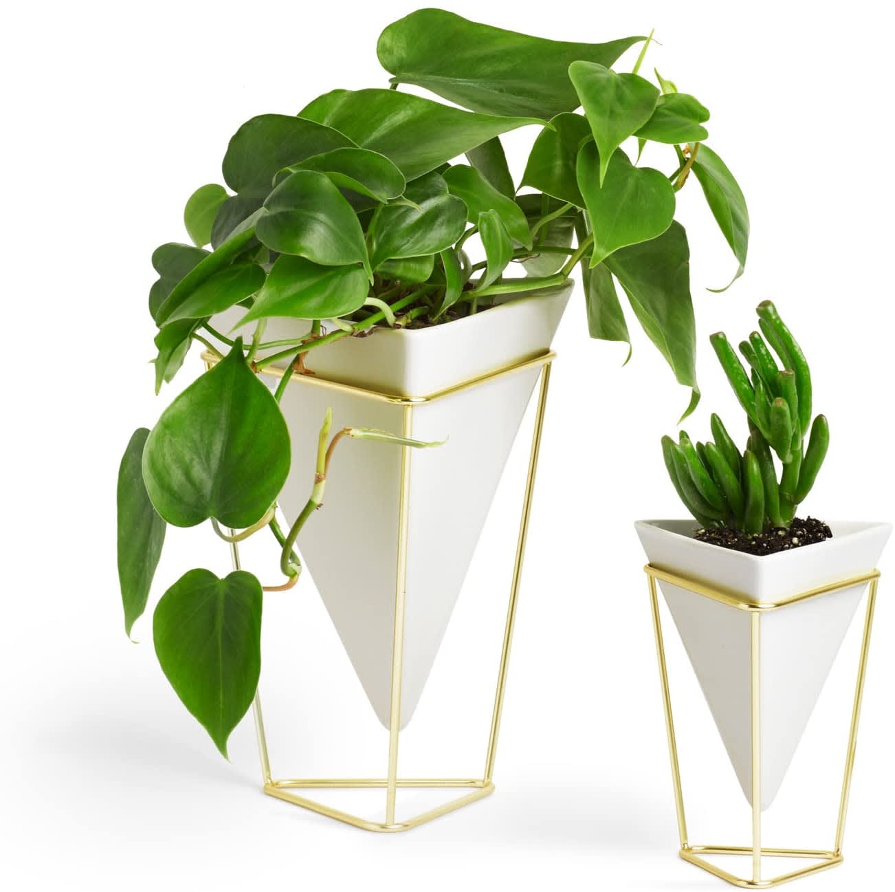 http://cdn.apartmenttherapy.info/image/upload/v1620324171/gen-workflow/product-database/umbra_trigg_planter_set.jpg