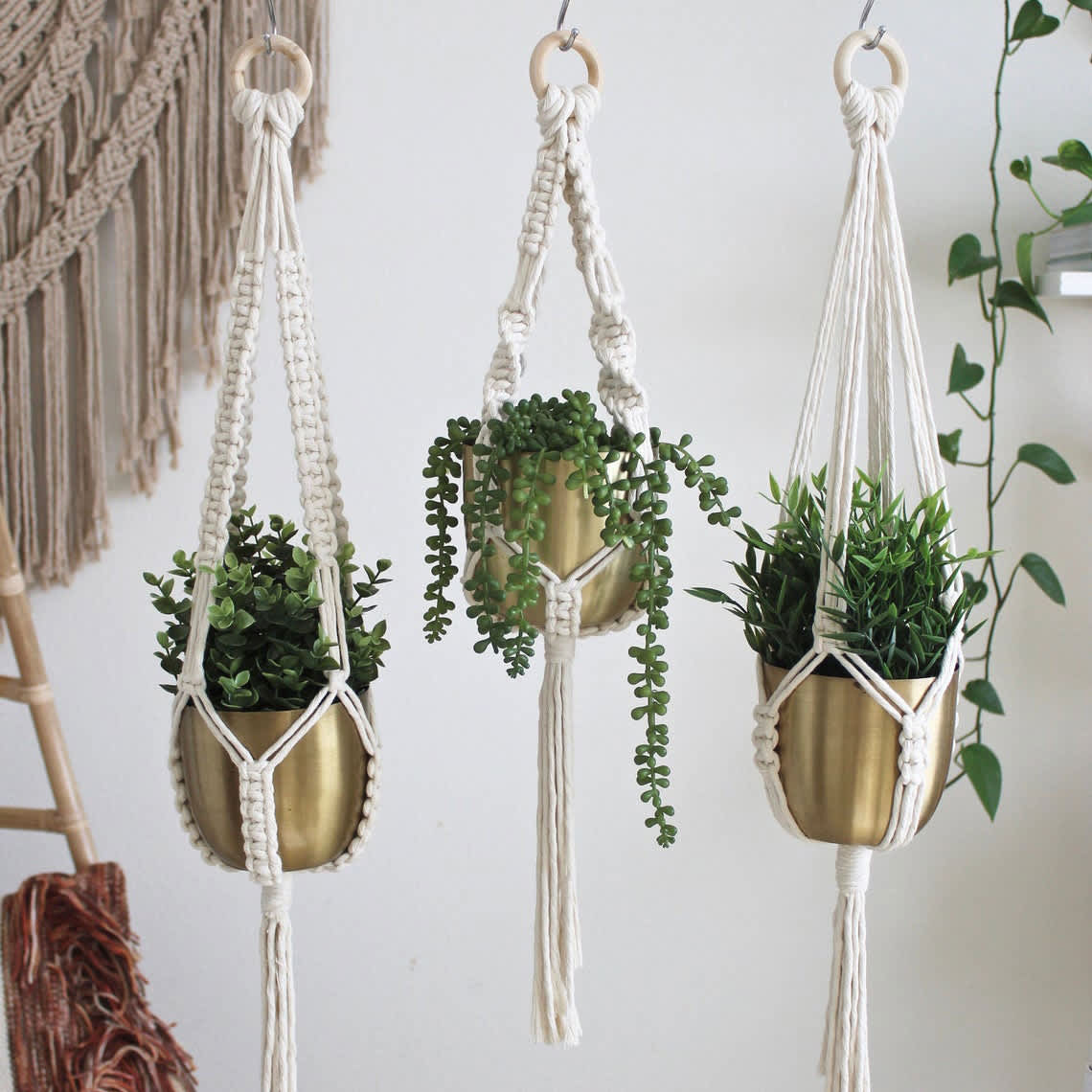huisvrouw Klusjesman Verlenen 8 Best Stylish Indoor Hanging Planters 2022 | Apartment Therapy
