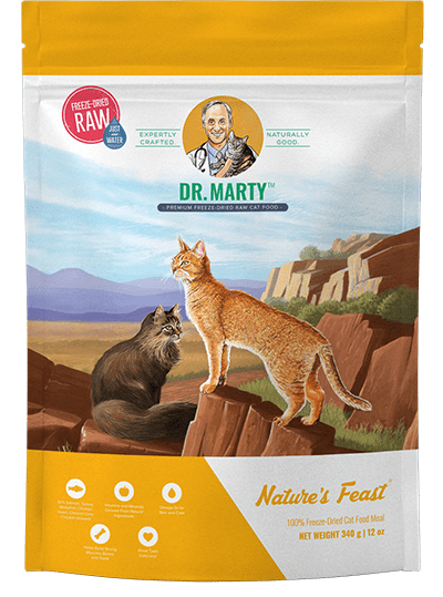 best tasting dry cat food for finicky eaters