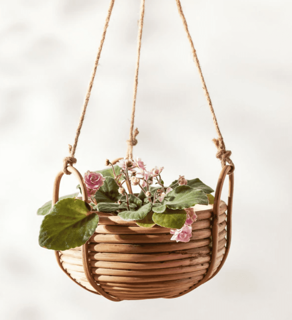 Our Favorite Rattan Planters and Plant Stands For Spring 2022 | Apartment  Therapy
