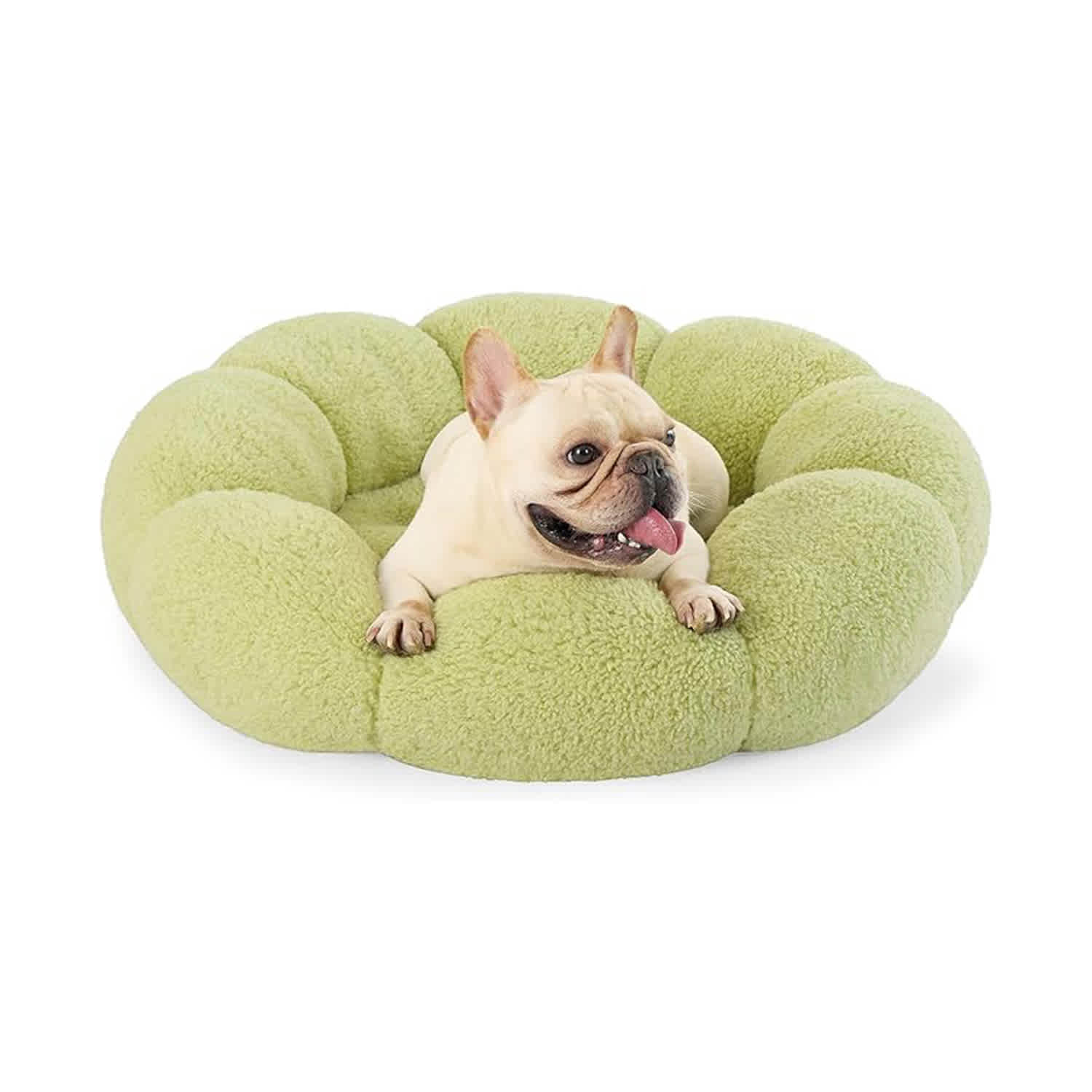 Best Gifts for Dogs, According to Dog Lovers Apartment Therapy