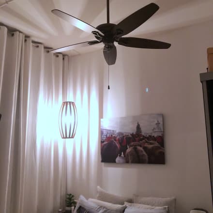 Jute Beehive Pendant Apartment Therapy S Bazaar