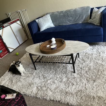 Apartment Therapy's Bazaar