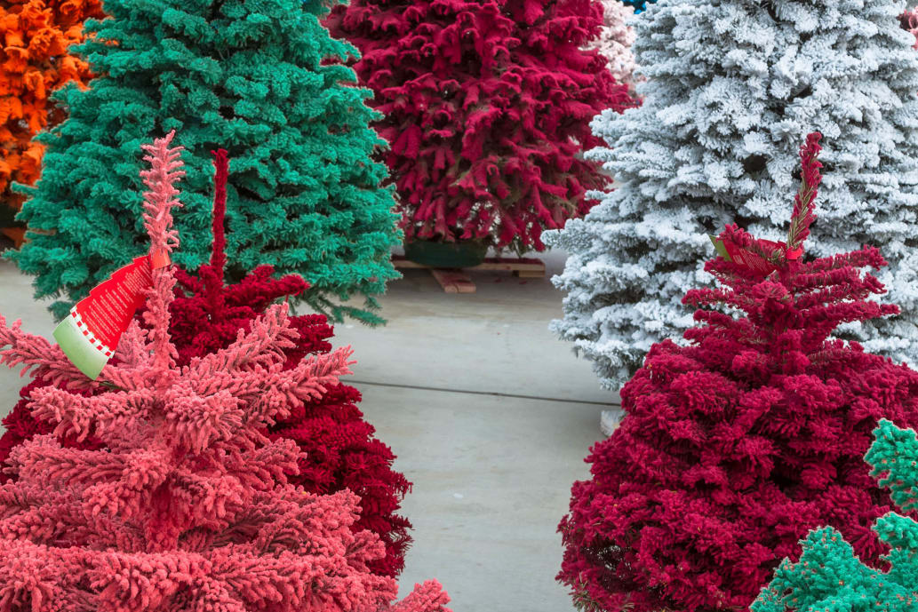 are-real-or-fake-christmas-trees-better-for-the-environment