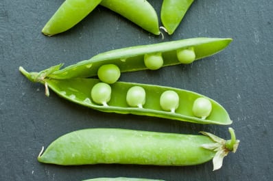 Image result for snow peas