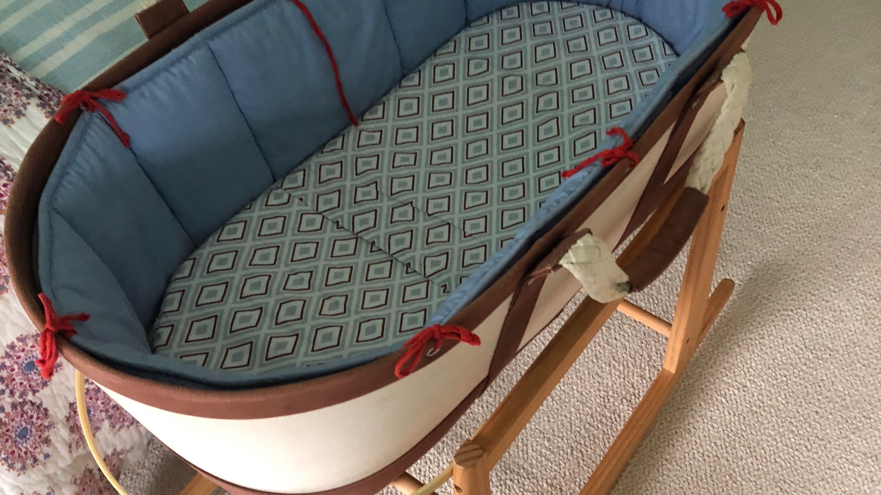 serena and lily moses basket