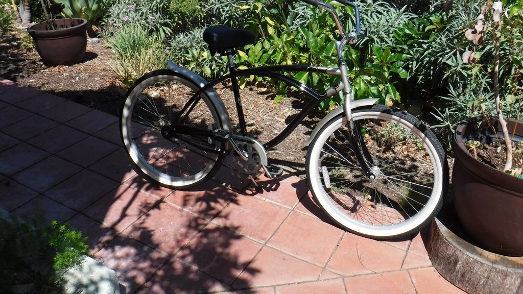 torker beach cruiser