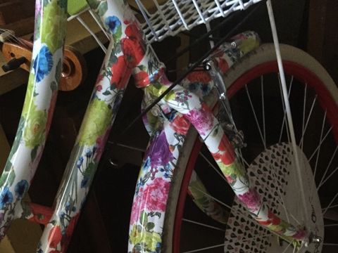 alice and olivia bicycle