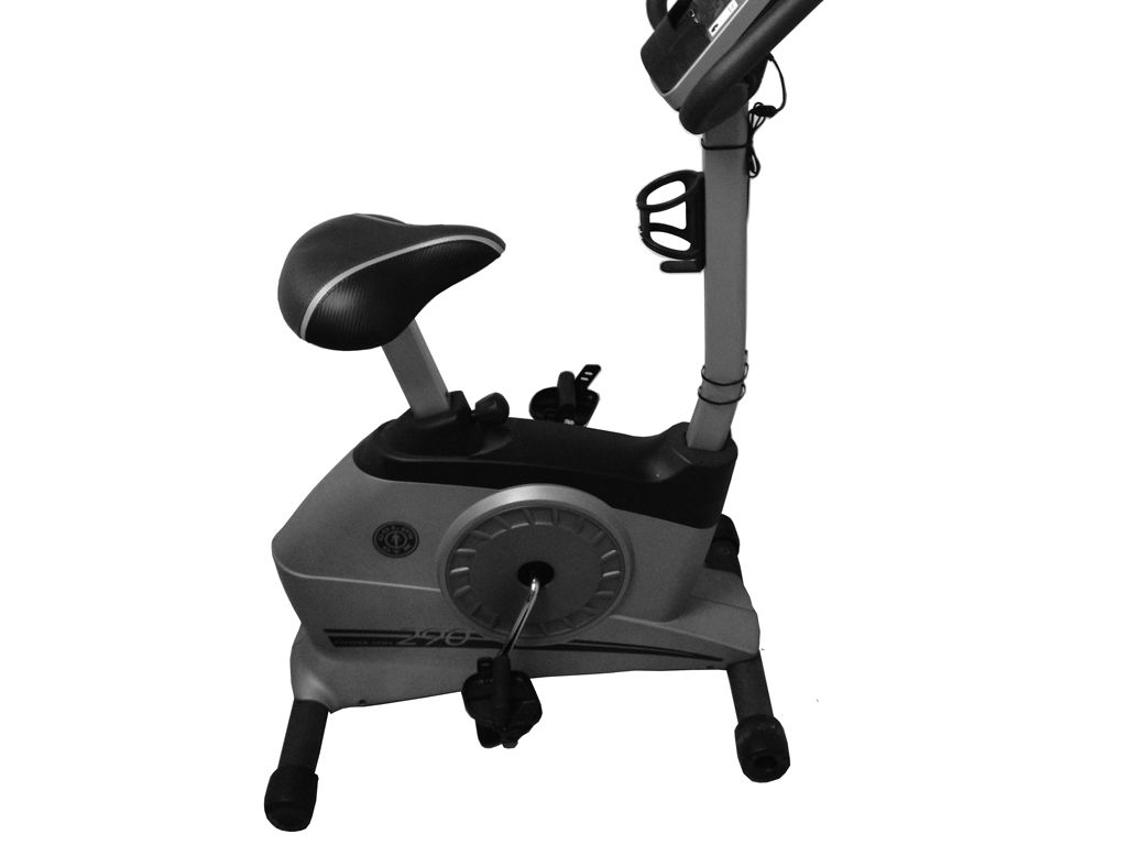 gold's gym bike 290