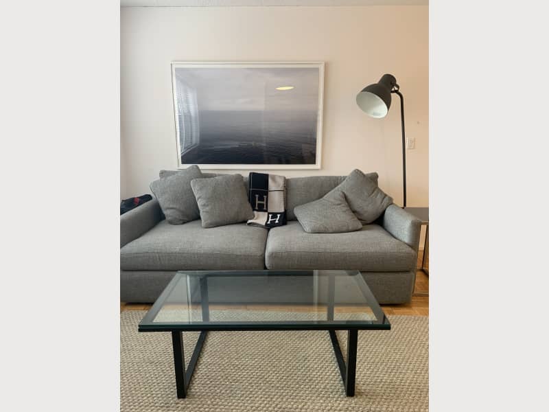 Crate Barrel Lounge Ii 93 Sofa Apartment Therapy S Bazaar