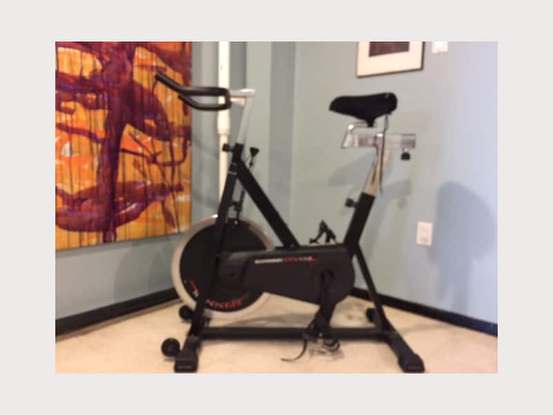 Schwinn spinner pro johnny g new arrivals