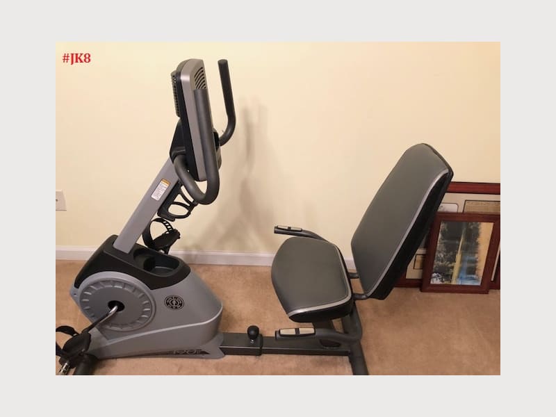 gold's gym recumbent bike 390r