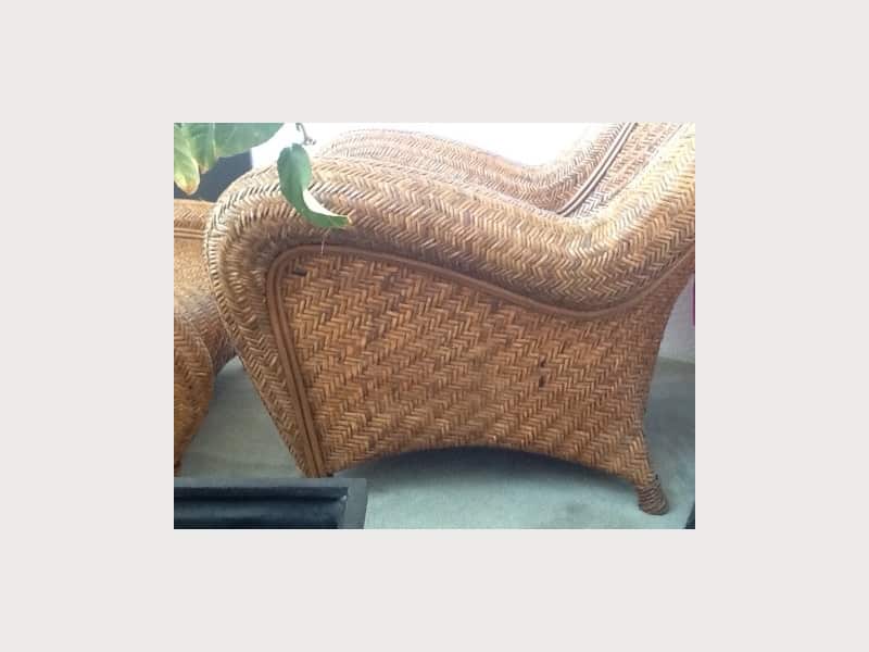 Pottery Barn Malabar Chair And Ottoman Apartment Therapy S Bazaar