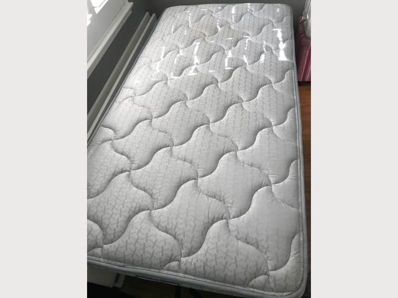 Sealy Mattress Dearborne Twin Size Apartment Therapy S Bazaar