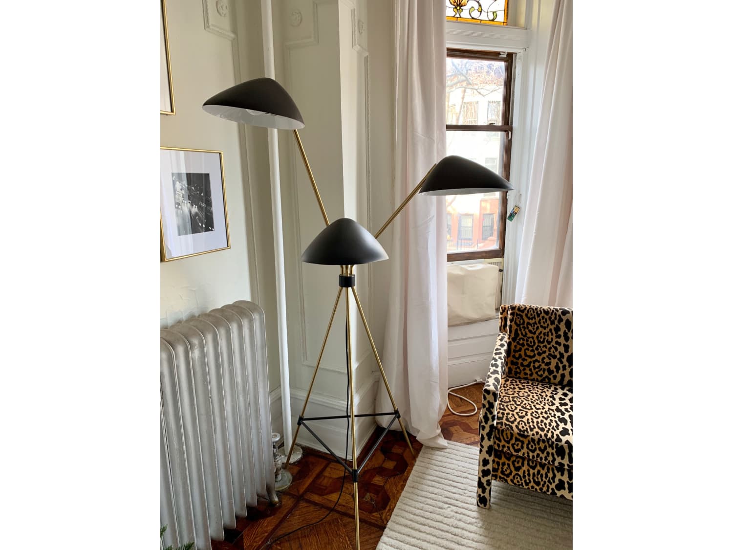 curvilinear lamp