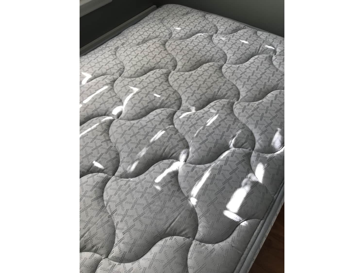 Sealy Mattress Dearborne Twin Size Apartment Therapy S Bazaar