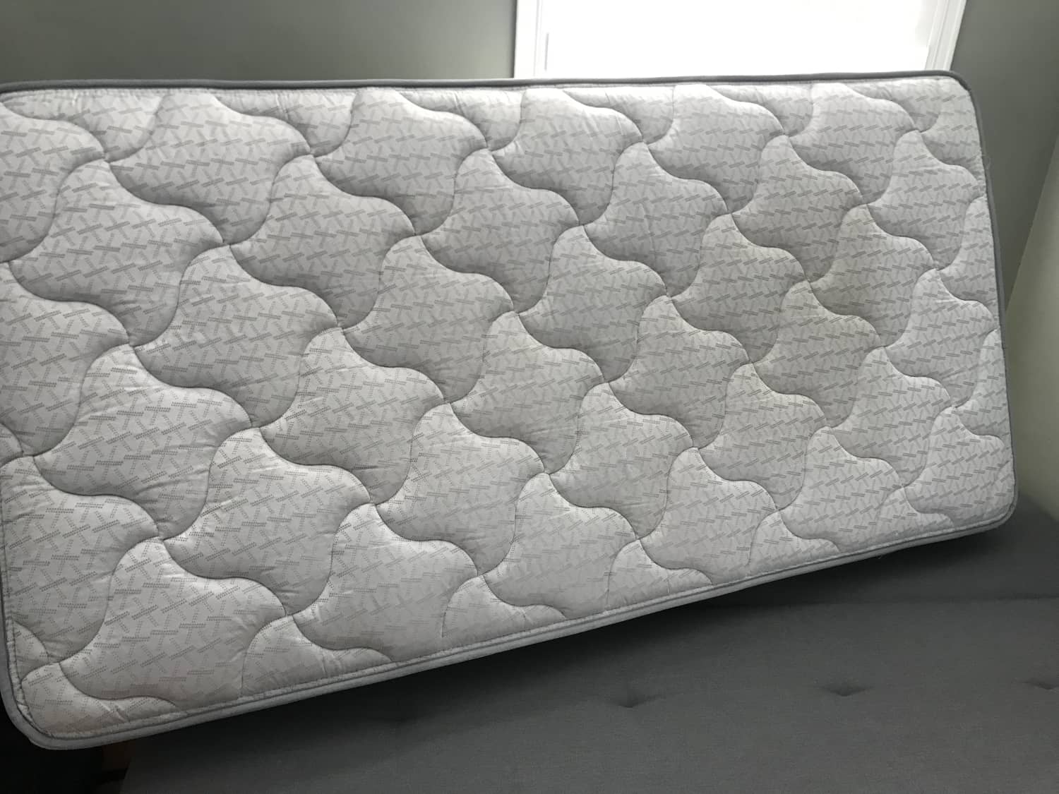 Sealy Mattress Dearborne Twin Size Apartment Therapy S Bazaar