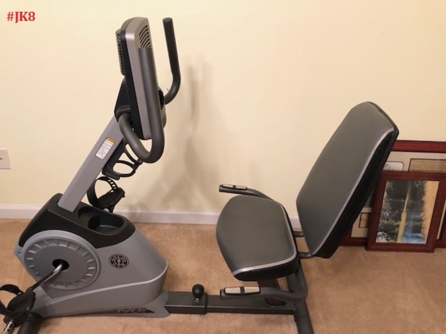 gold's gym recumbent bike 390r