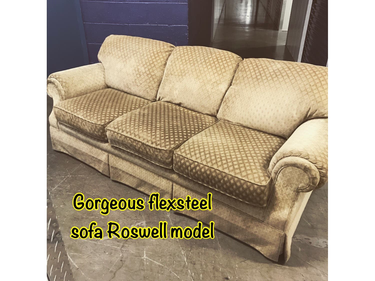 Opmuntring ventil køre Roswell sofa - Apartment Therapy's Bazaar.