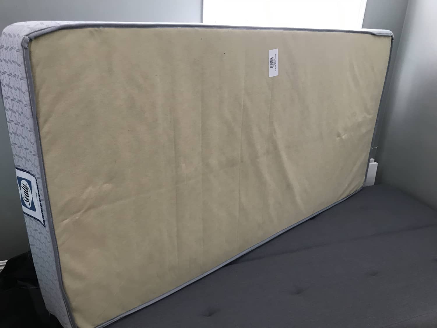 Sealy Mattress Dearborne Twin Size Apartment Therapy S Bazaar