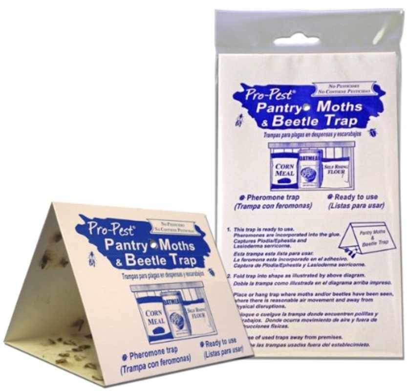 How To Get Rid Of Pantry Moths Apartment Therapy