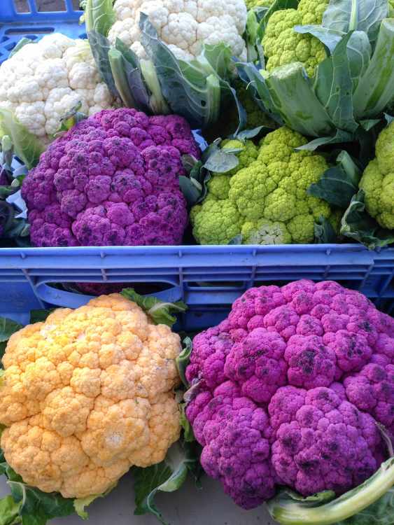 Where Does The Color Come From