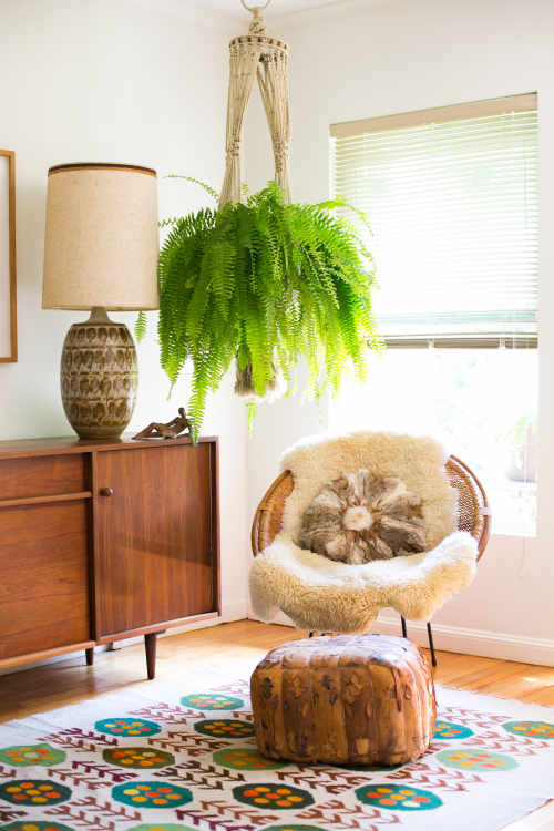 Color Texture Size How To Choose the Right Rug Everytime