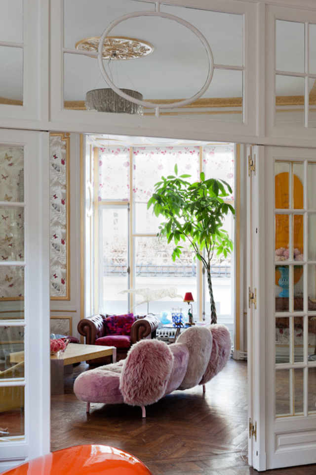 Large Indoor Trees That Make a Bold Statement | Apartment Therapy