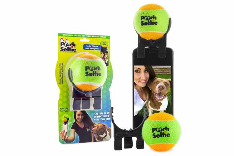Dog selfie ball best sale amazon