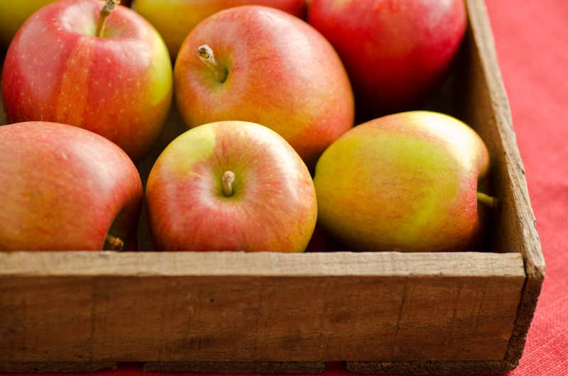 The 5 Best Apples for Baking Kitchn