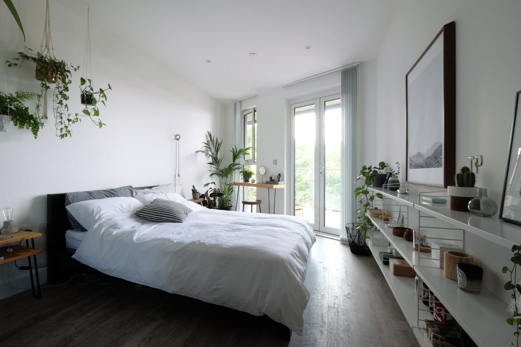 Indoor Plants Low Light | Apartment Therapy
