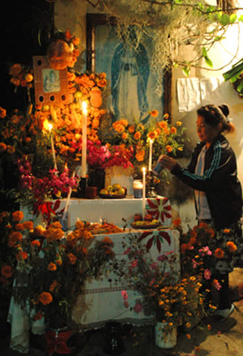 Creating A D 237 A De Los Muertos Altar Kitchn