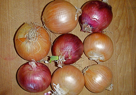Good Question: How Can I Preserve All These Onions? | Kitchn