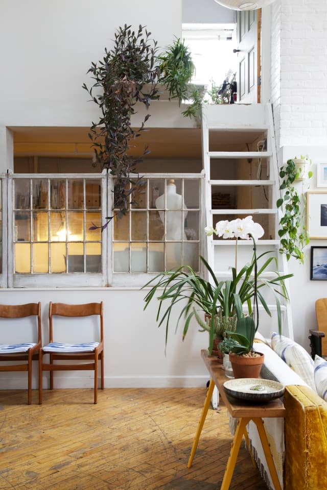 The Unexpected Reason Plants Help Rooms Look Better