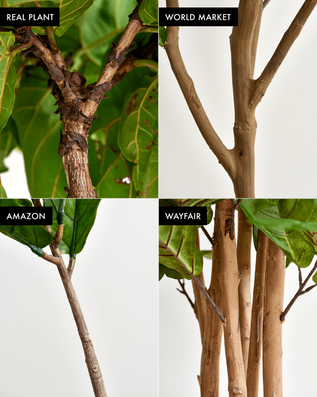 The Best Faux Fiddle Leaf Fig Tree Apartment Therapy