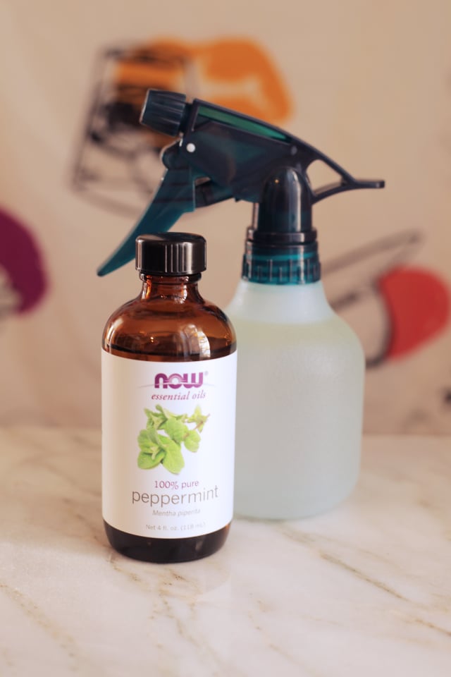 Get Rid of Stinky Kitchen Sink Smells Kitchn