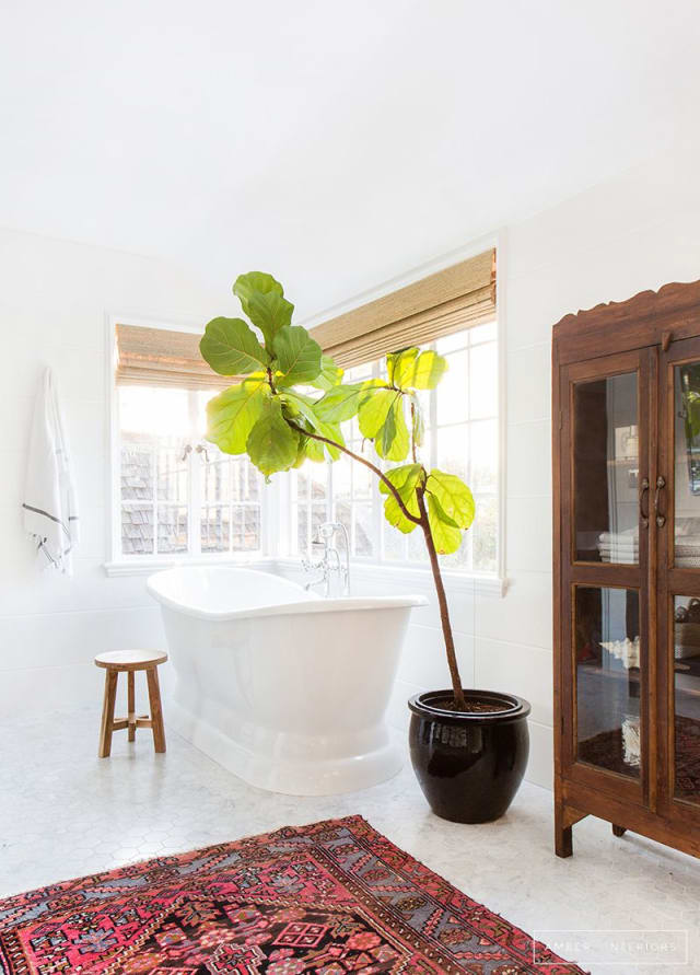 50 Best Bathroom Design Ideas Apartment Therapy 50 Best Bathroom Design Ideas Apartment Therapy