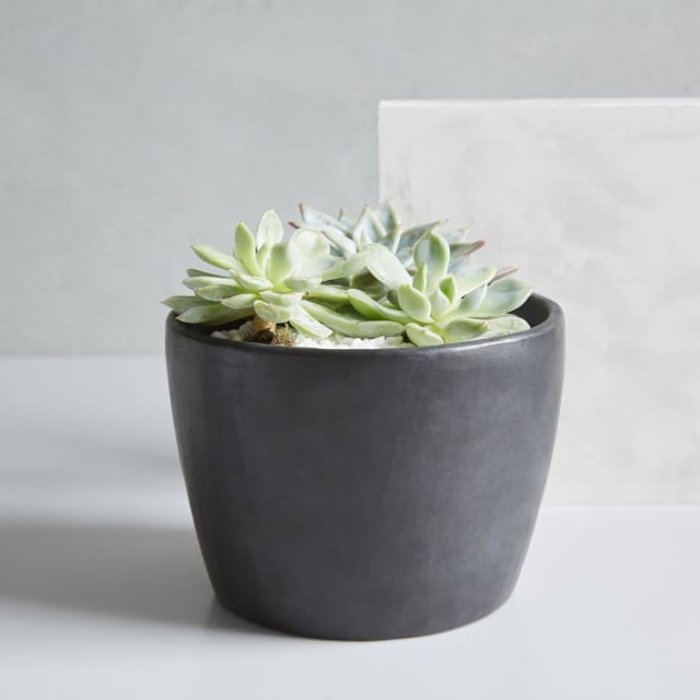 West Elm Sale Black Friday 2017 Best Deals Discounts Apartment Therapy