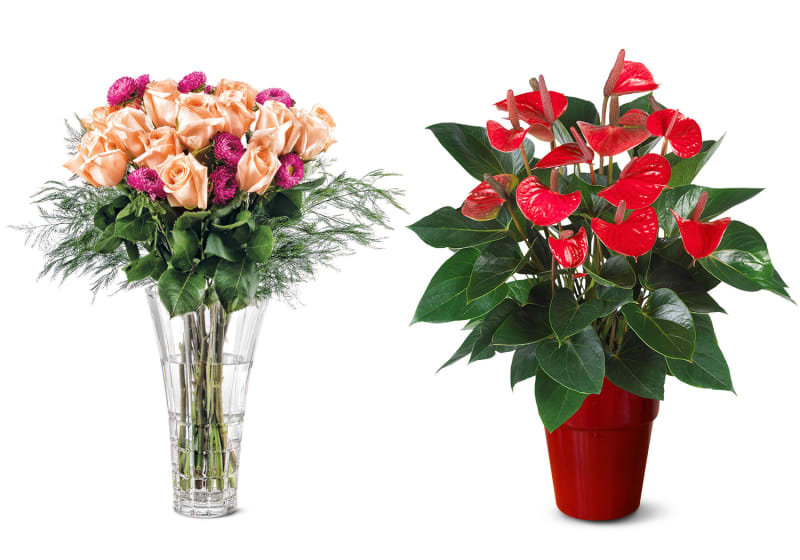 Whole Foods Best Flower Deals Lidl Aldi Valentine's Day Apartment Therapy