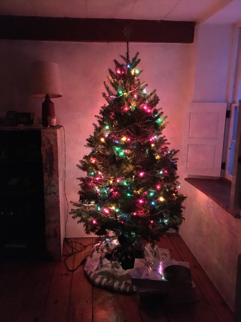 Amazon Christmas Tree Order Review Kitchn