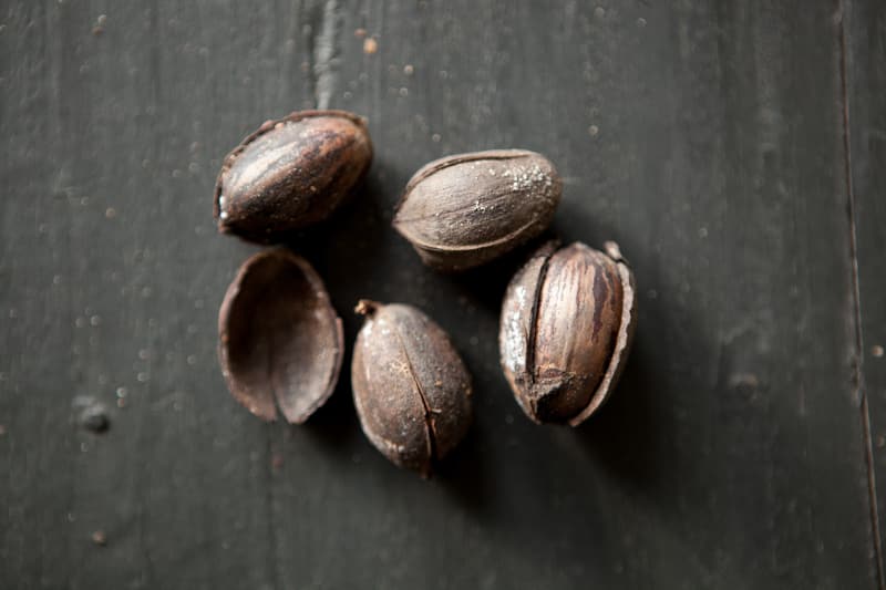 How Tucker Pecans Grows Pecans in Montgomery, Alabama Kitchn