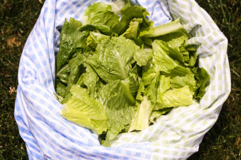 Can You Really Use a Pillowcase to Dry Lettuce? Kitchn