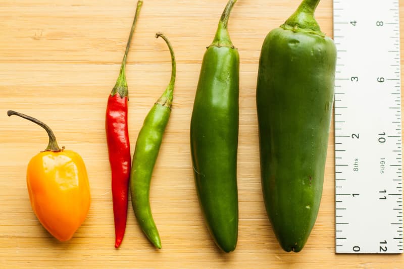 A Guide to Common Hot Peppers | Kitchn