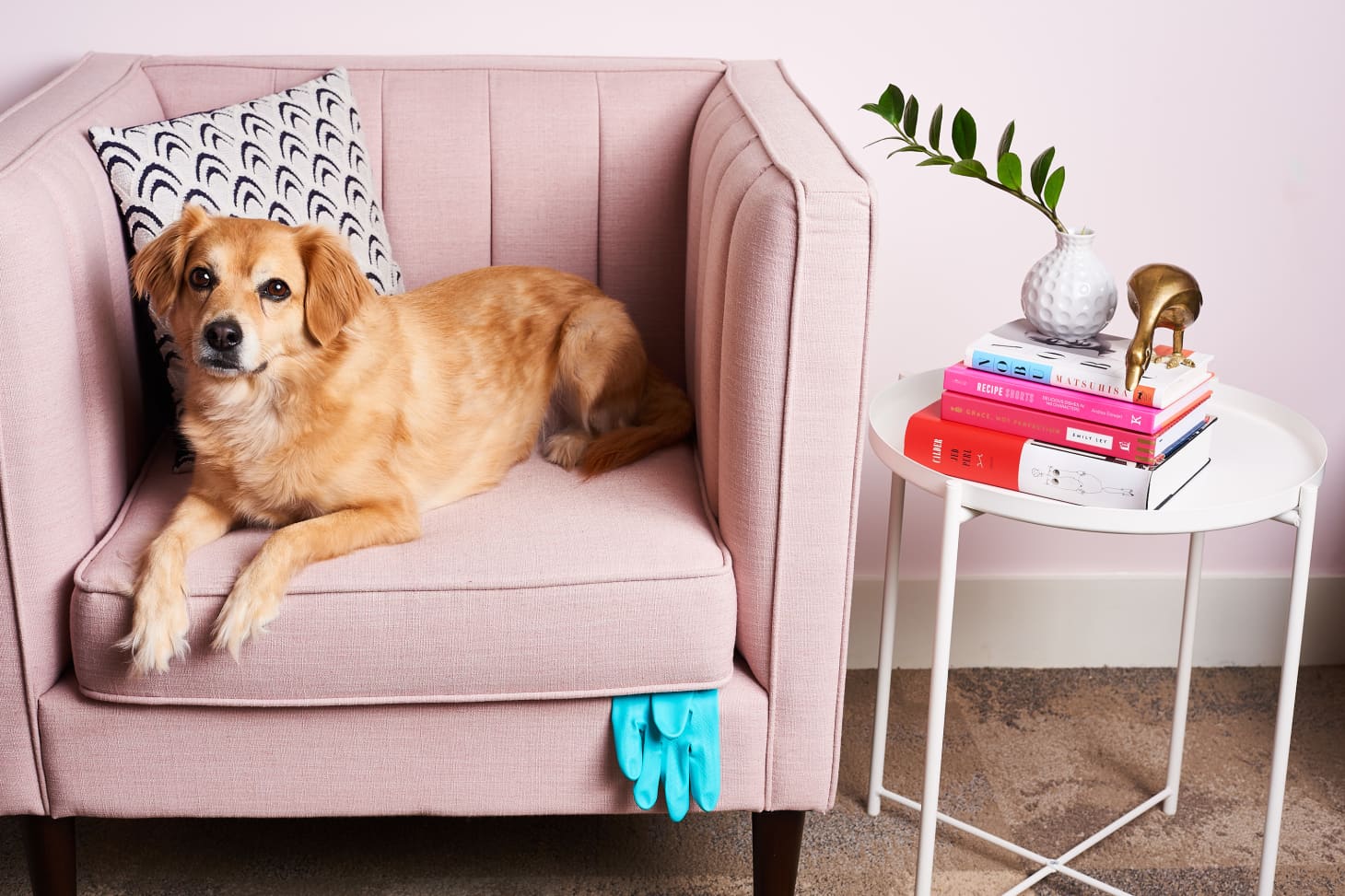 How To Remove Pet Hair With A Rubber Glove Apartment Therapy You Should Keep A Rubber Glove Under Your Couch Cushions Here S Why