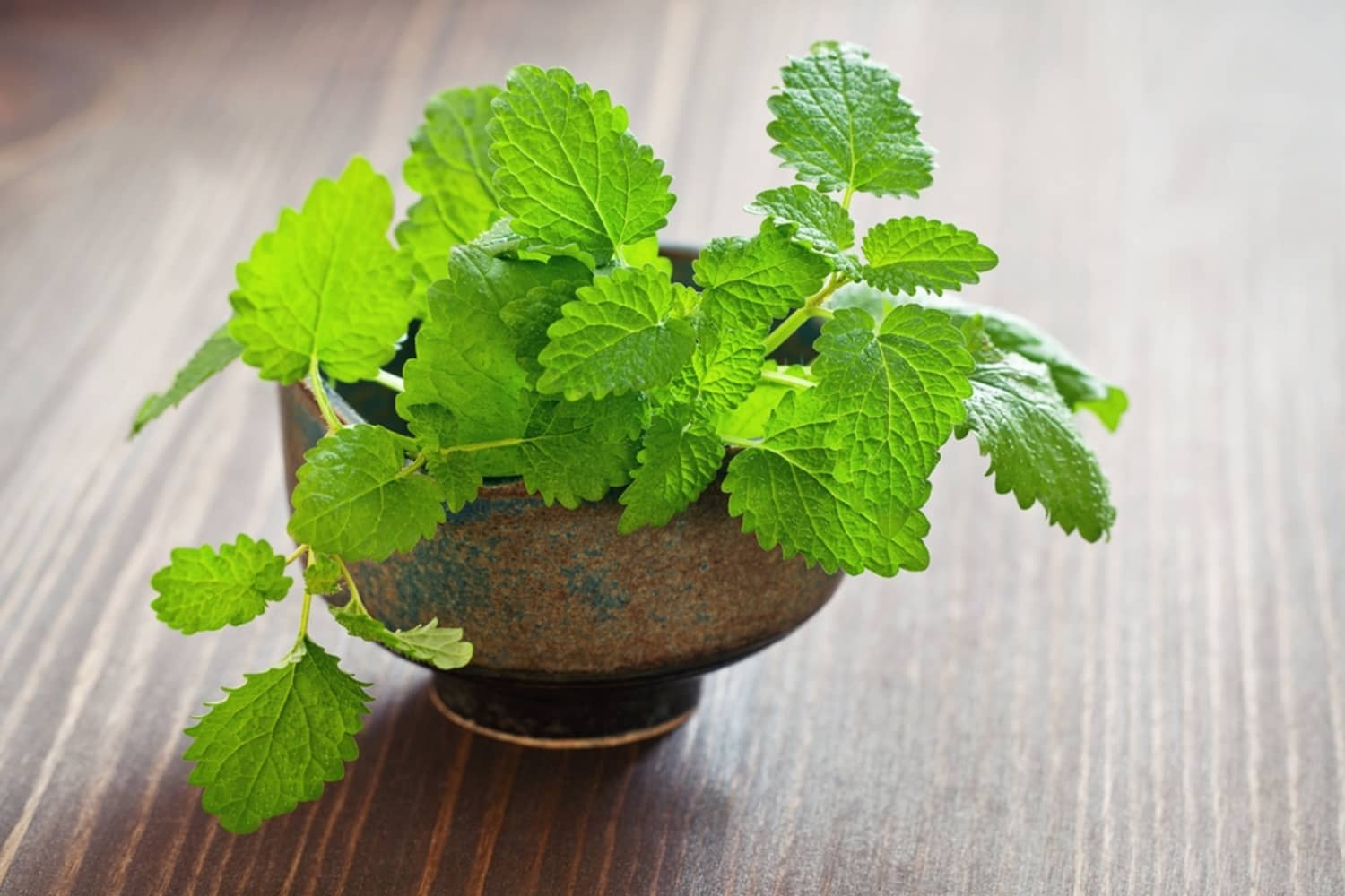 6 Uses for Mint - 6 Fun Mint-Based Household & Beauty Solutions