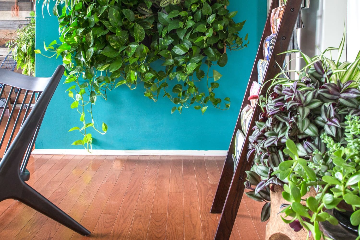 House Tour A Modern Organic Burbank Mix Apartment Therapy