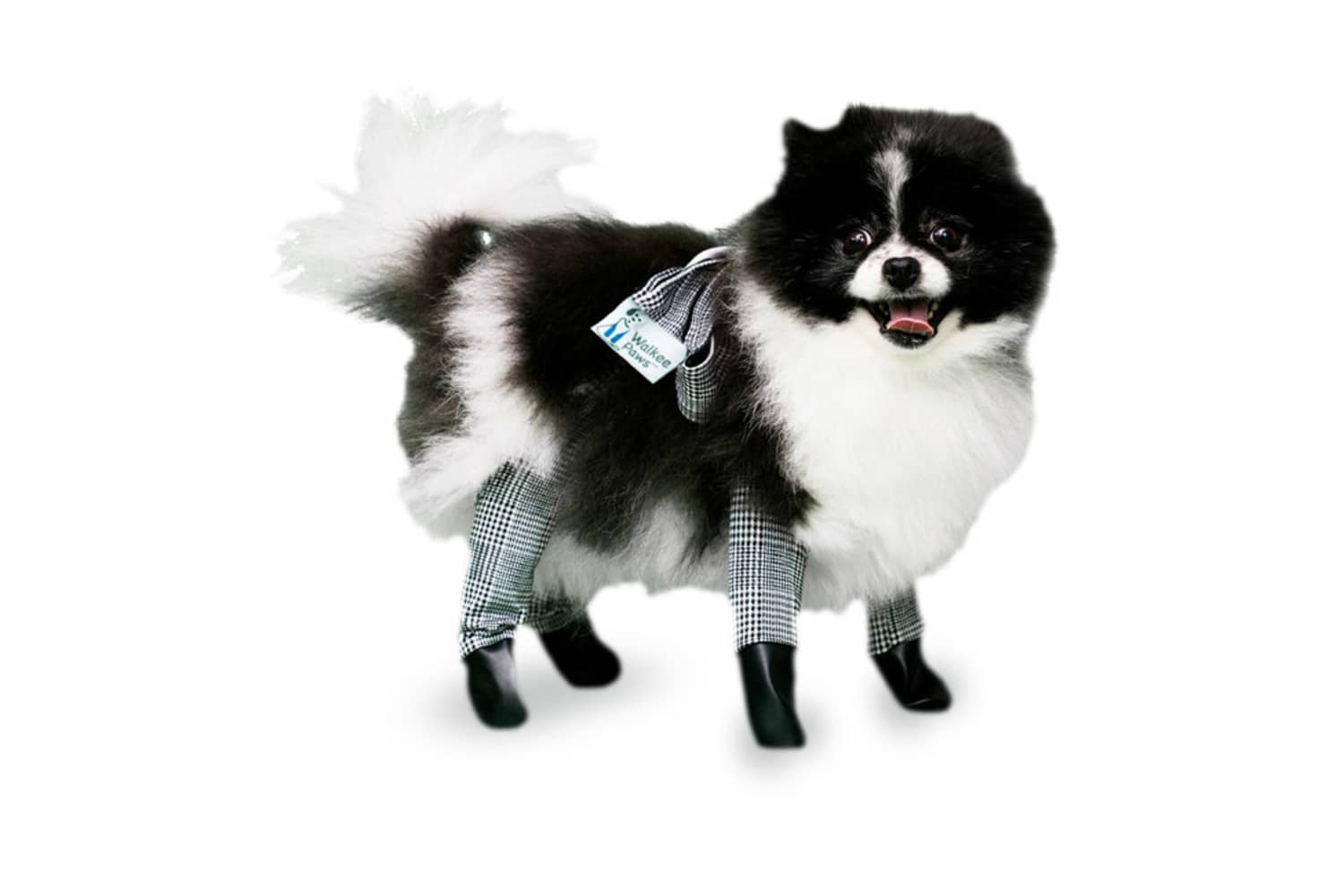 Dog leggings for snow Clearance