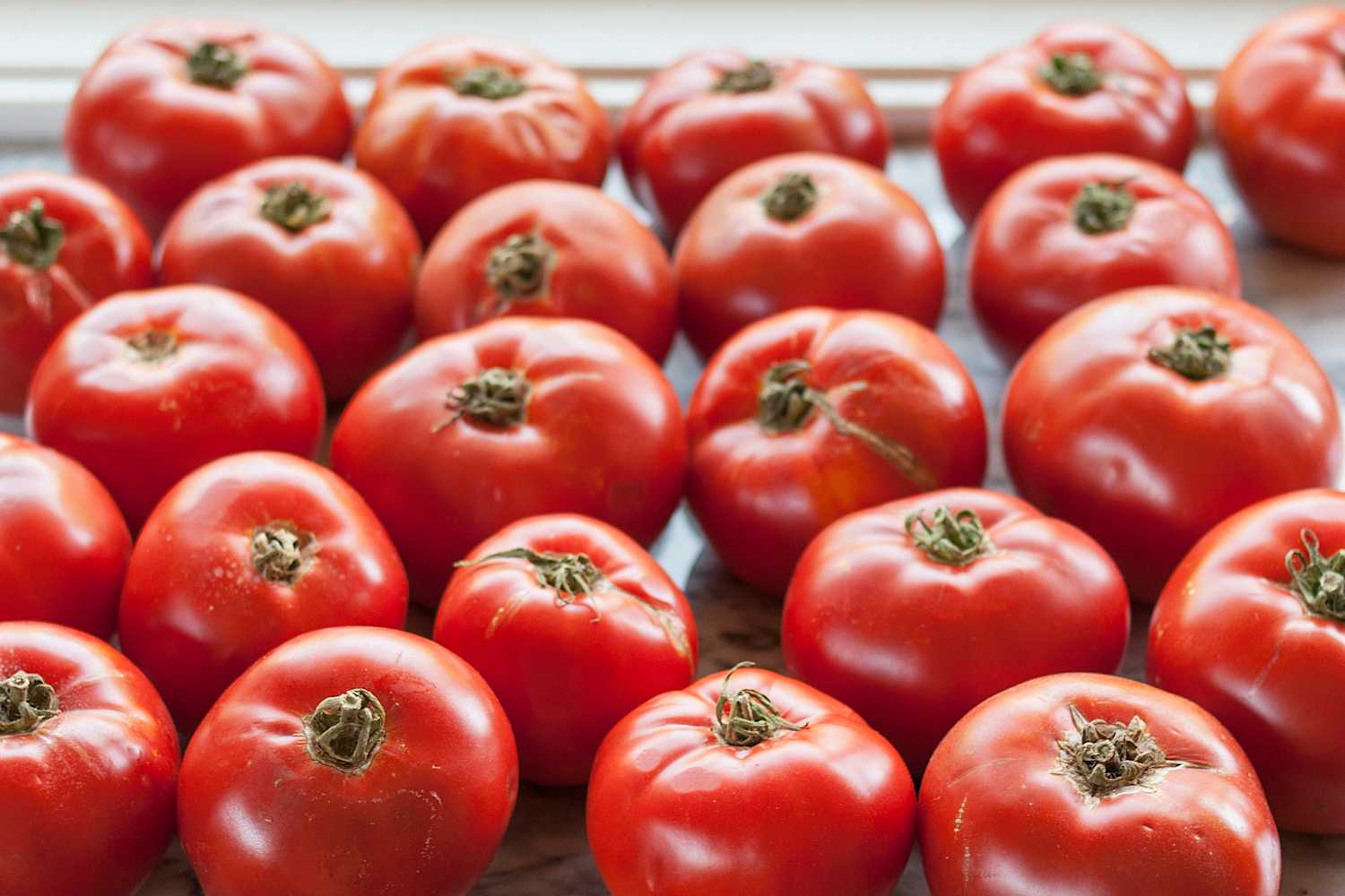 Why You Should Stop Seeding Tomatoes Kitchn