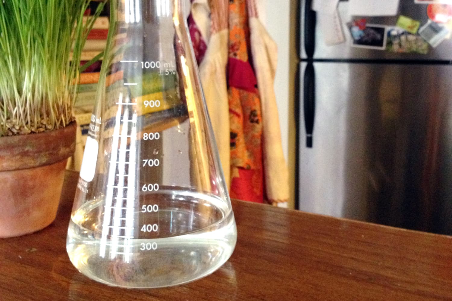 F Fityle Lab Beaker Bottle Cleaning Brush for Glass Beaker Cream Cans Cleaner 4 Sizes for 1000ml Beaker 